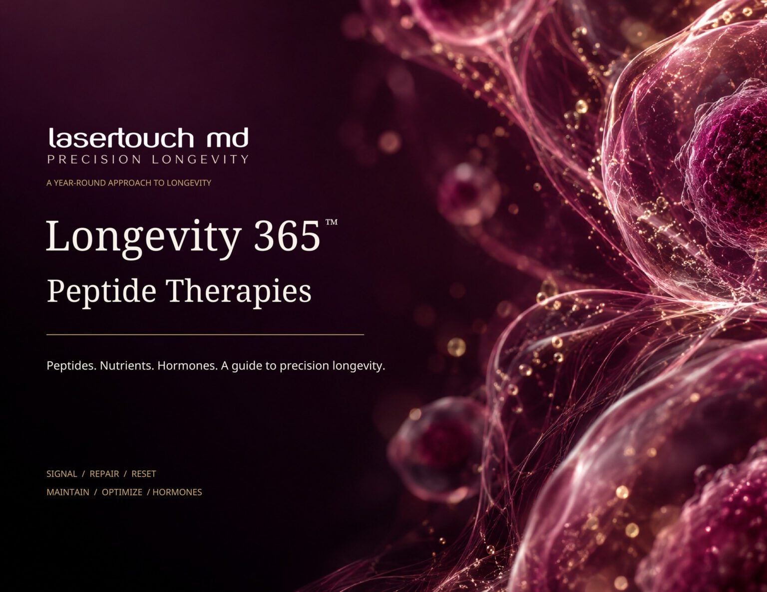 Longevity 365 peptide and hormone catalog front cover
